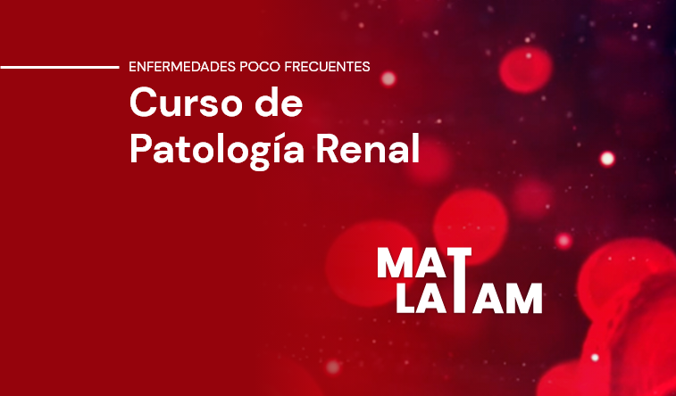 Patología Renal Básico