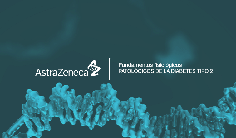 Fundamentos fisiológicos - patológicos de la Diabetes tipo 2 - CVRM